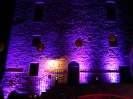 color changing architectural lighting chianti